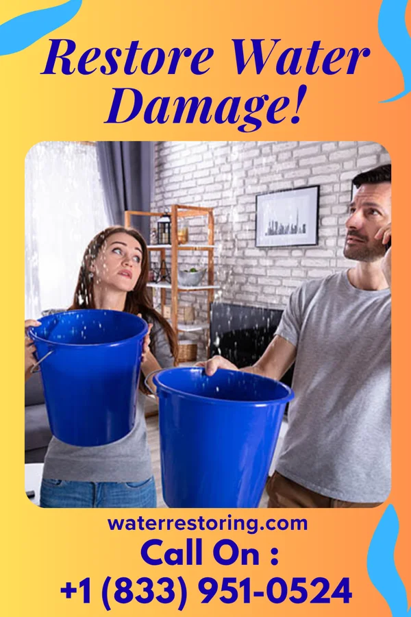 water restoration Stellar Water Removal & Sons Greenbush